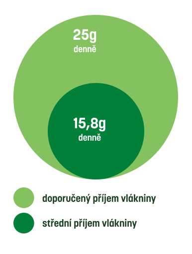 Kruhový graf porovnávající doporučený a skutečný příjem vlákniny.