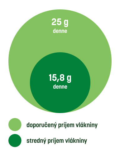Kruhový graf porovnávajúci odporúčaný a skutočný príjem vlákniny.